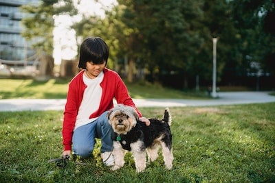 Tulsa Flea and Tick Control