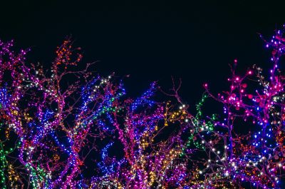 Jolly Lane Lights - Tulsa Drive Through Christmas Lights