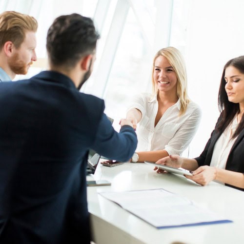 Executive Hiring Consultant